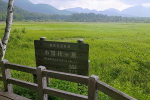奧日光‧小田代原自然探險路 - Jeff & Jill的窩 - udn部落格