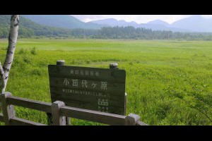Jeff & Jill 的足跡: 奧日光‧小田代原自然探險路