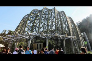 Jeff & Jill 的足跡: 木柵動物園‧熱帶雨林 ─ 穿山甲館