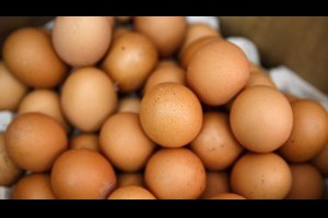 蛋殼長斑點到底能不能吃？專家告訴你 | 雞蛋 | 吃蛋 | 大紀元