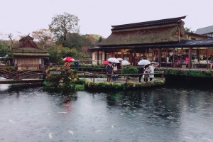 <b style='color: #8B2500 '>日</b><b style='color: #8B2500 '>本</b>／信越關東鐵道周遊 | u 值媒