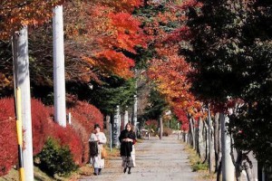 <b style='color: #8B2500 '>日</b><b style='color: #8B2500 '>本</b>／輕井澤駅楓紅滿缽 雲場池間道路五彩繽紛 | u 值媒