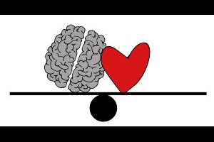 心智的結構 @ Murphy's Mind