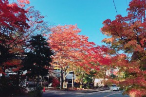 <b style='color: #8B2500 '>日</b><b style='color: #8B2500 '>本</b>／舊輕井澤銀座通 以<b style='color: #8B2500 '>日</b>式建築走西洋風 | u 值媒