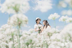 這就是女友要的夢幻美照！三大花海拍爆 - MOOK景點家