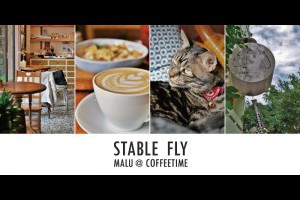 《彰化咖啡》穩定飛行模式Stable Fly│永樂街巷弄裡玩樂復古靈魂的老宅咖啡館 @ ★★★★布萊美旅團★★★★ (咖啡、美食、建築、設計、旅行) :: 痞客邦 ::