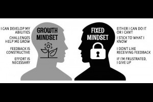 成長型思維 (Growth Mindset) - 具有腦神經科學基礎的成功心理學 @ Murphy 的書房