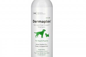 InternationalVeterinarySciences,Dermaplex，皮膚和皮毛支援洗髮水，適合犬和幼犬，清新氣味，16盎司（473毫升）