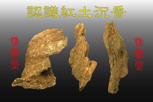 認識紅土沉香 | 陳興夏教授野生沉香普洱老茶 專業會所