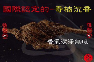 最好的沉香―奇楠沉香 | 陳興夏教授野生沉香普洱老茶 專業會所