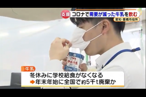 生活技.net: 疫情導致乳製品銷量低迷，日本或將倒掉5000噸牛奶