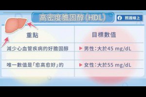  膽固醇多少才OK？血脂肪最基礎介紹（簡單圖解版） - 照護線上 