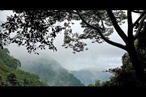 雲霧繚繞的觀音山 @ 喵星人日誌