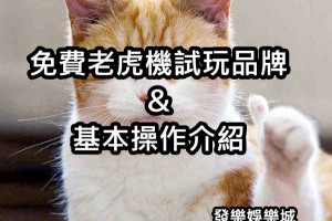 免費熱門老虎機試玩品牌及基本操作介紹 - 發樂娛樂城部落格