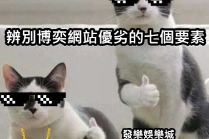 辨別博奕網站優劣的五個要素 - 發樂娛樂城部落格