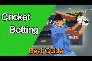 How to Cricket Betting? Best guide for beginners!