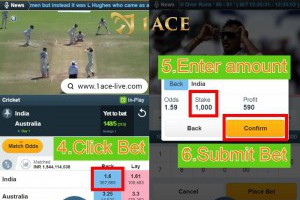 What is IPL Satta? Tips for Online Play Cricket Satta in India