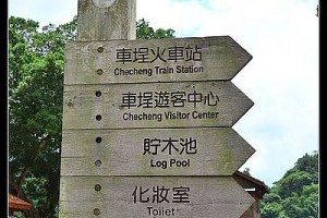 南投戀戀車埕‧林班道體驗DIY