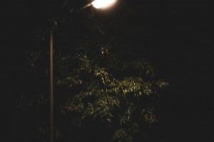 燈管：照亮世界的長明燈