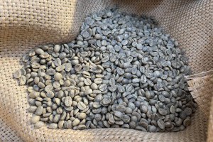 精品咖啡不容瑕疵 茶改場與業界合作開發AI智慧生豆挑選機 效率加倍、精準度達95% - 農傳媒