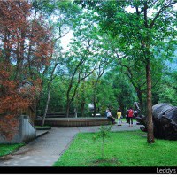 林田山林業文化園區/社區檜木咖啡館