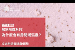 房間潮濕蟲怎麼消滅？2025 最新解析潮濕蟲怕什麼？｜潔客幫