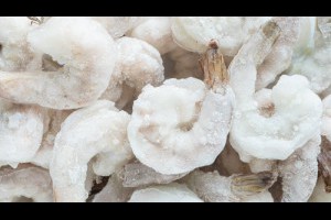 買冷凍蝦，退冰重量少超過5成！「包冰率」過高惹禍...一文看為何海鮮「包冰」不可少 - 良醫健康網