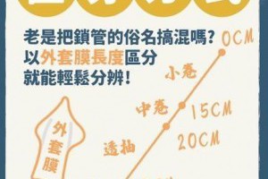「魷魚家族」透抽、花枝、軟絲、小卷一圖秒懂！挑新鮮摸這裡 - 食譜自由配 - 自由電子報