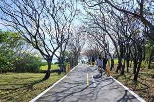 雙北最美10條自行車道！春遊騎單車有哪些隱藏的河岸山林秘境？ | 城市學