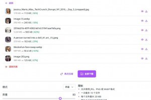 Caesium Image Compressor Online：圖片壓縮工具線上免費使用，零上傳保障隱私 – IT上菜