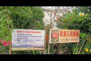 Jeff & Jill 的足跡: 嘉德花田（花蓮吉安）
