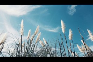 Q&A｜關於空氣品質，你最常問的10個問題 - 沃特奇企業有限公司-台北 窗型全熱交換器|全熱除濕一體機|德國博樂抑菌風管| 全戶式除濕|吊隱式全熱交換器|室內通風淨化 推薦