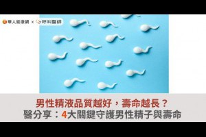 男性精液品質越好，壽命越長？醫分享：4大關鍵守護男性精子與壽命 | 華人健康網 - 專業即時優質的健康新聞及資訊分享平台業即時優質的健康新聞及資訊分享平台