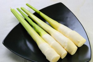 茭白筍產季來一盤「美人腿炒三絲」！高纖低熱量好脆甜 - 食譜自由配 - 自由電子報