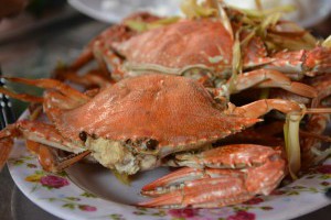 秋季品蟹怎麼吃才對味？老饕最愛台灣十大人氣螃蟹必學挑選攻略 | 城市學