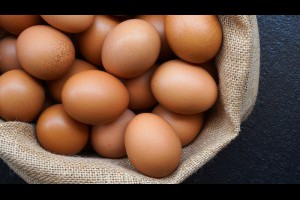 看到蛋殼「C」就不敢買？放牧蛋一定比較乾淨、雞比較快樂？10大雞蛋迷思一次破解 - 良醫健康網