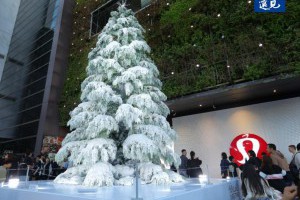 2025全台聖誕市集懶人包｜最美燈海、聖誕樹、熱鬧市集一次收 | 城市學