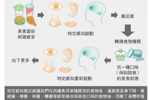 吃了鹹的又想吃甜的！想避免食慾大開、吃不停該怎麼做？ | 健康遠見