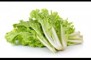 小白菜原來有分這4種？營養、功效、料理及種植方式一次看 - 良醫健康網