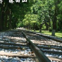 森坂悠悠話森榮：林田山林業文化園區~~ - yam輕旅行