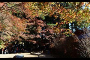 【和平】福壽山農場‧松盧（2012.11.10） - yam輕旅行