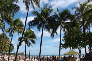 [夏威夷]Oahu。Waikiki住宿與日式料理