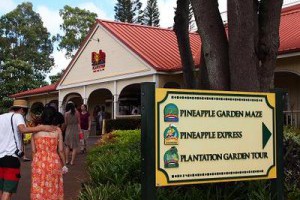 [夏威夷]Oahu。DolePlantation杜爾鳳梨園