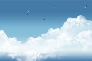 【一睹綠島永續漁法－鰹竿釣風采！】http:......