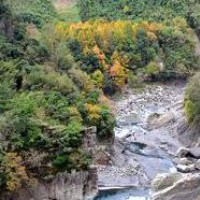賞楓新秘境 馬里科灣溪正楓紅 - yam輕旅行