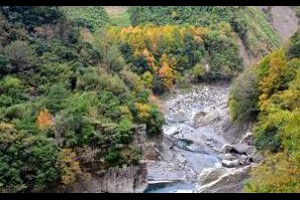 賞楓新秘境 馬里科灣溪正楓紅 - yam輕旅行