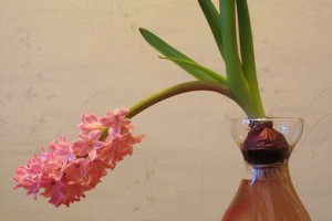 令人'不舉'的煩惱－陽痿　 - 醫療養生部落格 - PChome 個人新聞台