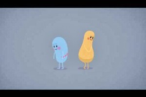 情人節之笨笨的死法