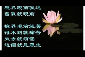 何謂眾生 @ 樂觀而盡力、平靜無漣漪、關懷加信任、雲過風就來。 :: 隨意窩 Xuite日誌