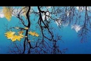以妄治妄、以毒攻毒 @ 樂觀而盡力、平靜無漣漪、關懷加信任、雲過風就來。 :: 隨意窩 Xuite日誌